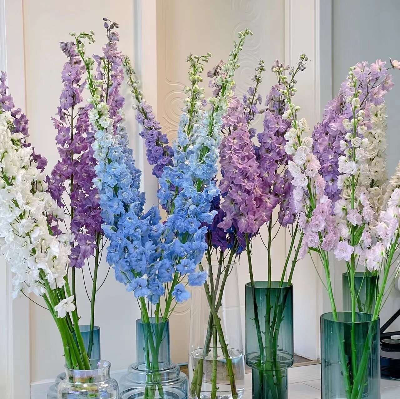 大飞燕鲜花云南直发5枝家用插花水养鲜切花昆明基地直批空运包邮