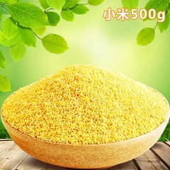 小米 陕西特产黄小米农家有机新米粗粮小黄米月子米五谷杂粮500g