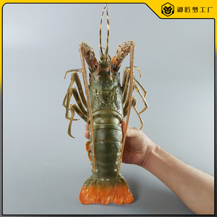 仿真海鲜小青龙虾模型假水产花龙虾波士顿龙虾直播道具装饰大龙虾
