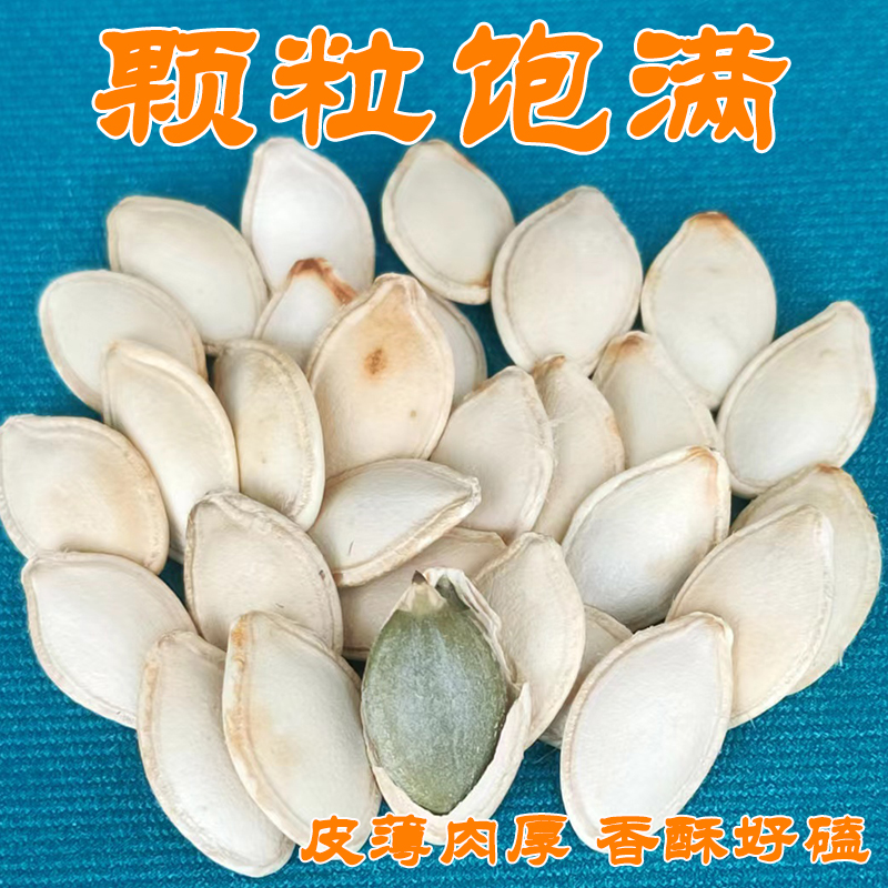 老香咸味南瓜子炒原味倭瓜子椒盐味白