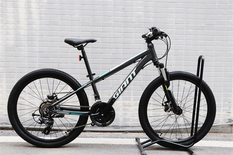 捷安特xtc 24-d 2铝合金24寸机械碟刹青少年男女孩变速山地自行车