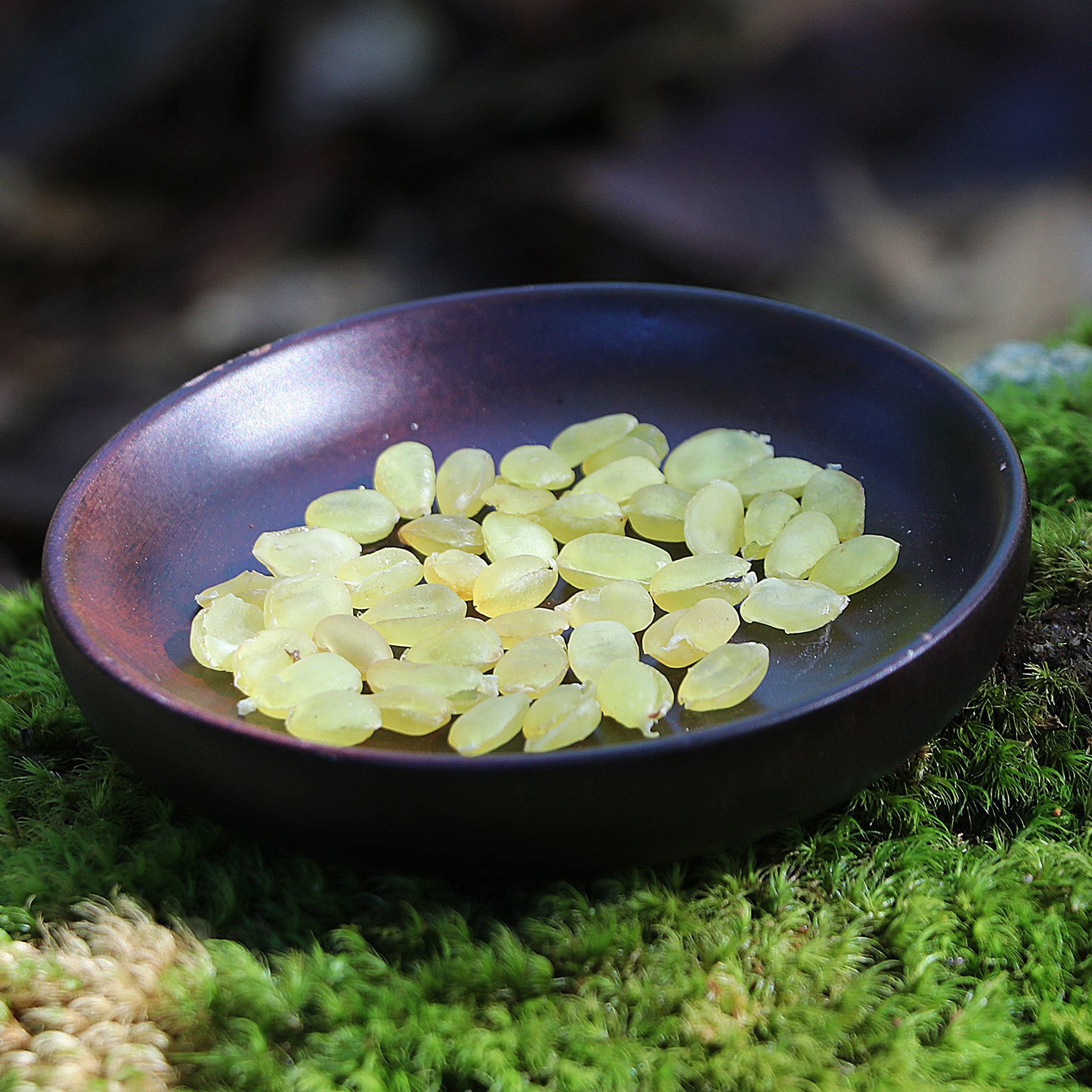 云夕 云南野生精品皂角米60g双颊雪莲子富含胶质可搭配银耳桃胶