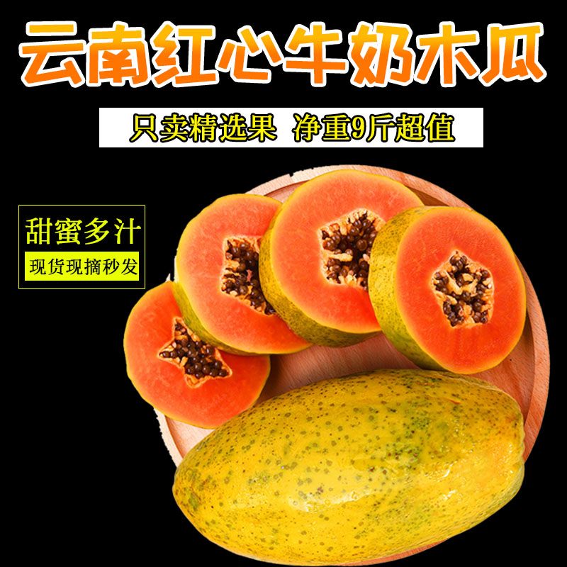 云南牛奶红心木瓜9斤当季青皮冰糖木瓜当季新鲜水果|msdalam kategori daging perikanan/Buah-buahan segar dan sayur-sayuran/dimasak, buah-buahan segar, Papaya - dari Buy2taobao.com untuk memberikan perkhidmatan ejen Taobao profesional membeli