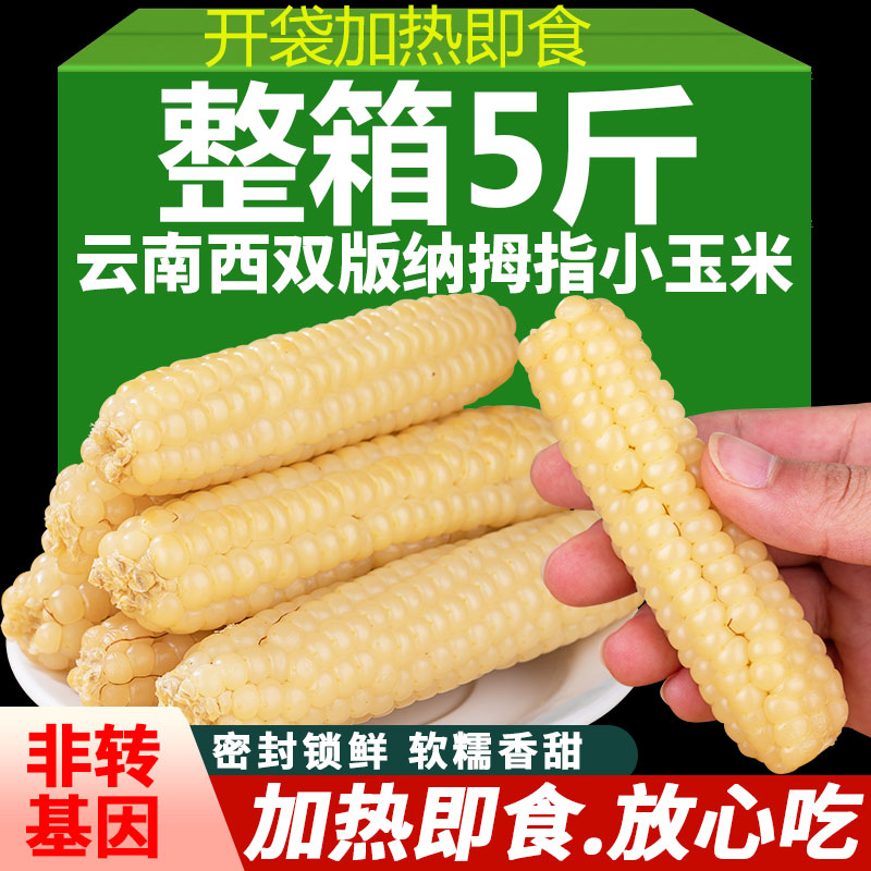 云南西双版纳拇指玉米新鲜加热即食香