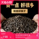 古陌碎银子茶化石普洱茶熟茶散云南勐海茶叶糯米香浓甜润罐装500g