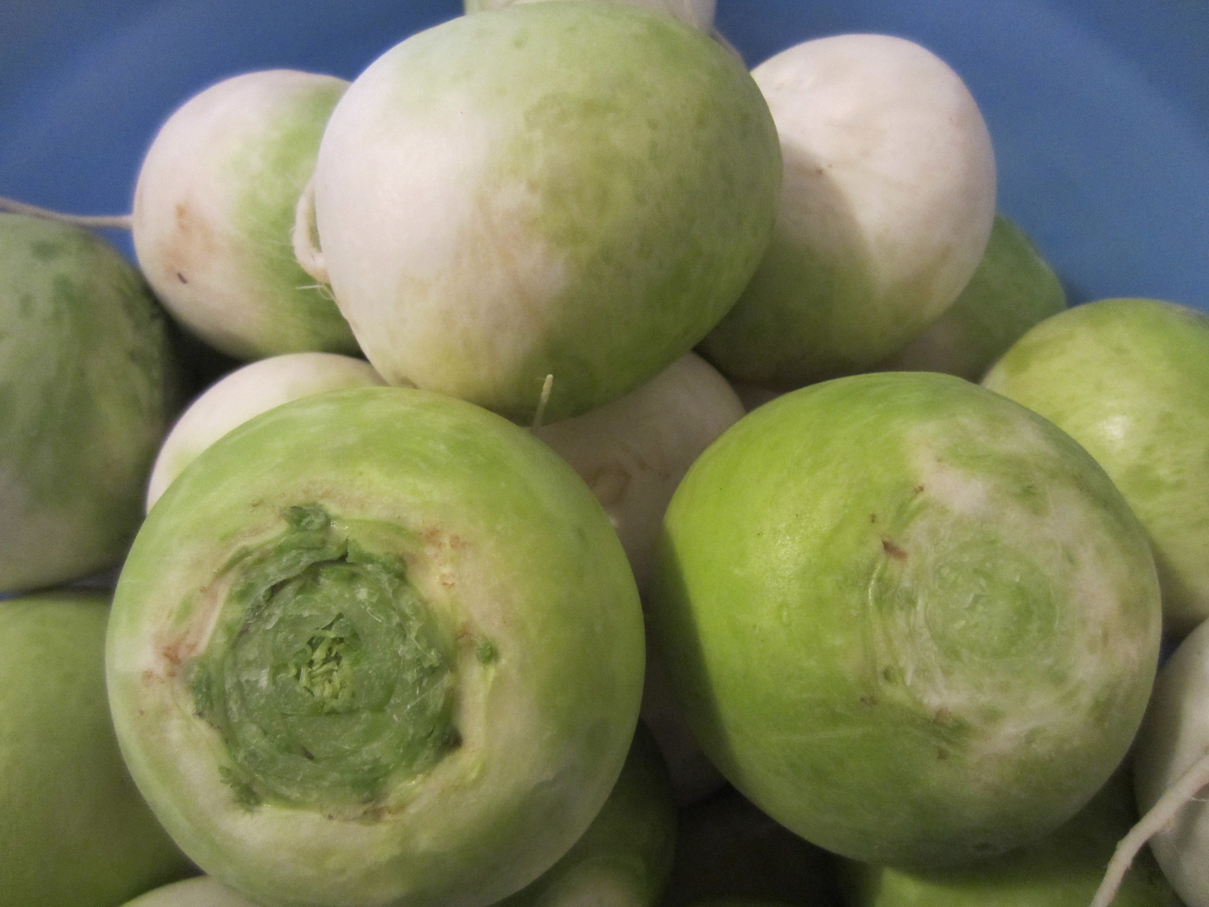 一折新鲜圆白萝卜