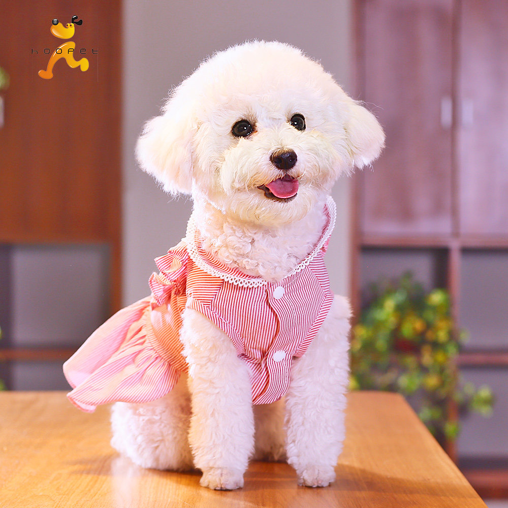狗狗裙子公主蓬蓬裙秋天泰迪比熊薄款小型犬宠物春秋款连衣裙衣服