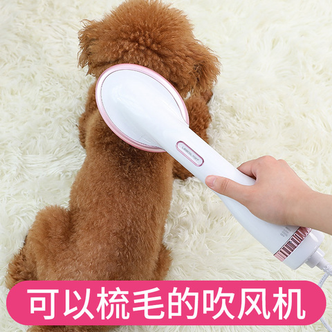 宠物吹风机静音狗狗泰迪猫咪小型犬专用吹水机拉毛吹毛神器吹毛梳