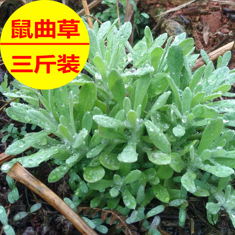 9丝光棉麻线轻体冰麻扁带线遮阳帽手编钩织diy钩包坐垫空心亮丝线已售