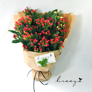 [相思豆]植物图书馆全国鲜花束快递生日礼物送朋友情人节红豆