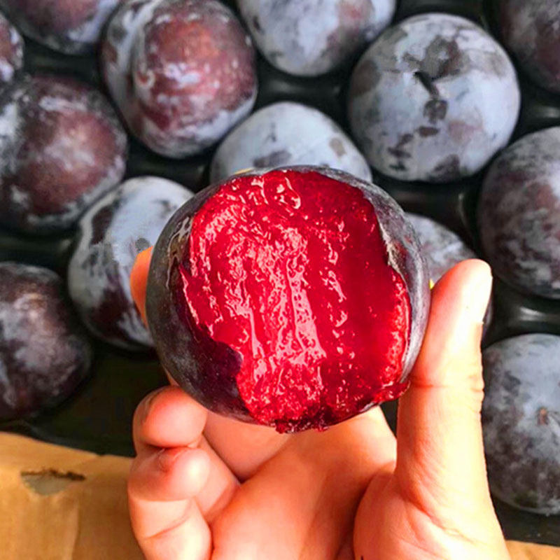 陕西风味玫瑰红心红肉黑布林李子现摘孕妇时令新鲜水果2斤包邮