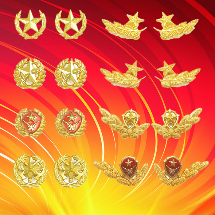 特价夏常服领花_单独正品领花海陆空夏春秋常服07橄榄枝松枝金属领花