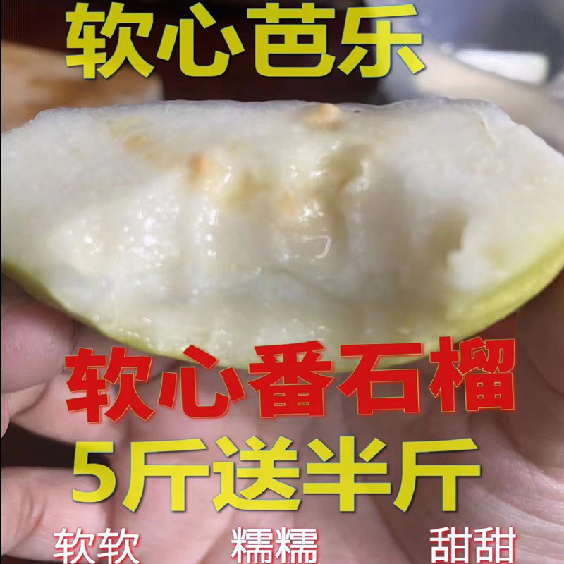 包邮软心白心软糯鸡屎果番石榴芭乐巴