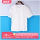 丽新折扣女装 M魅 系列 24夏装独特大码高端网纱立体花朵白色T恤