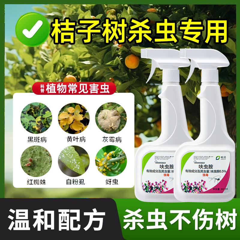 桔子树杀虫剂药年桔生虫果树治虫药金桔虫子用药金钱桔灭蚧壳虫杀