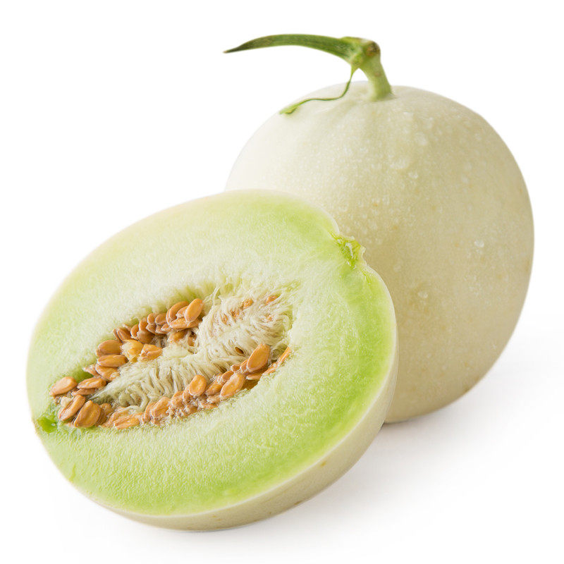 甜瓜大全——其他用品