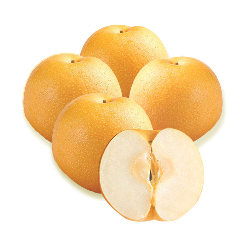 丰水梨4粒装即食时令精选多汁清甜饱满新鲜鲜果