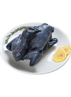 湘佳丝乌鸡1.2-1.5kg/只