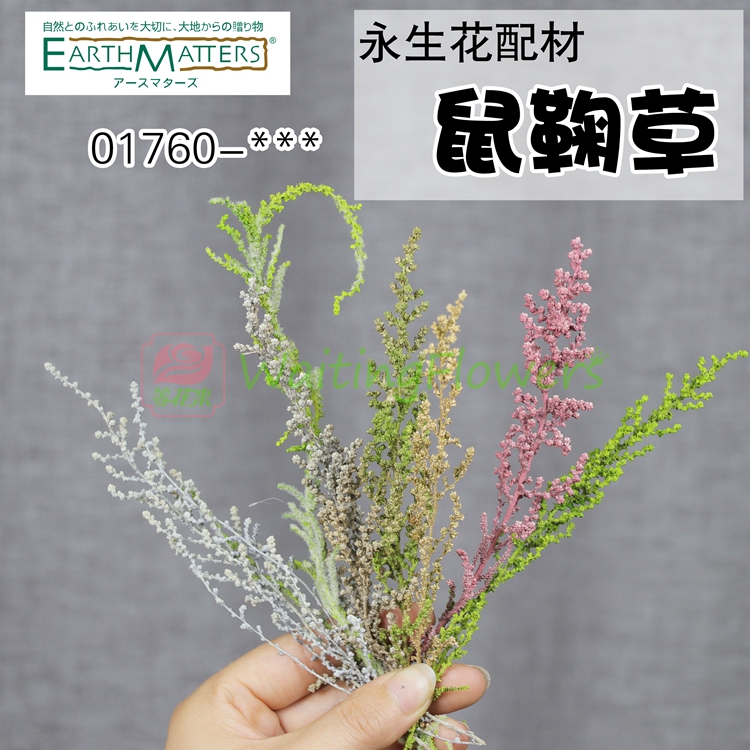 等花来01760大地农园保鲜花DIY材料包新娘头饰鼠鞠草永生花