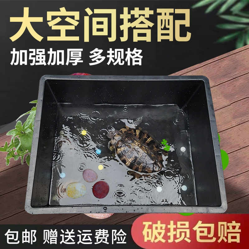 黑色爬虫缸饲养箱水陆爬宠陆龟守宫蜥蜴角蛙寄居蟹蜘蛛塑料生态缸