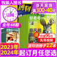 1-5月新【全年订阅48期】好奇号杂志+博物/环球少年地理2024年1-12月青少年科学科普百科阳光少年报万物问天历史喵2023过刊