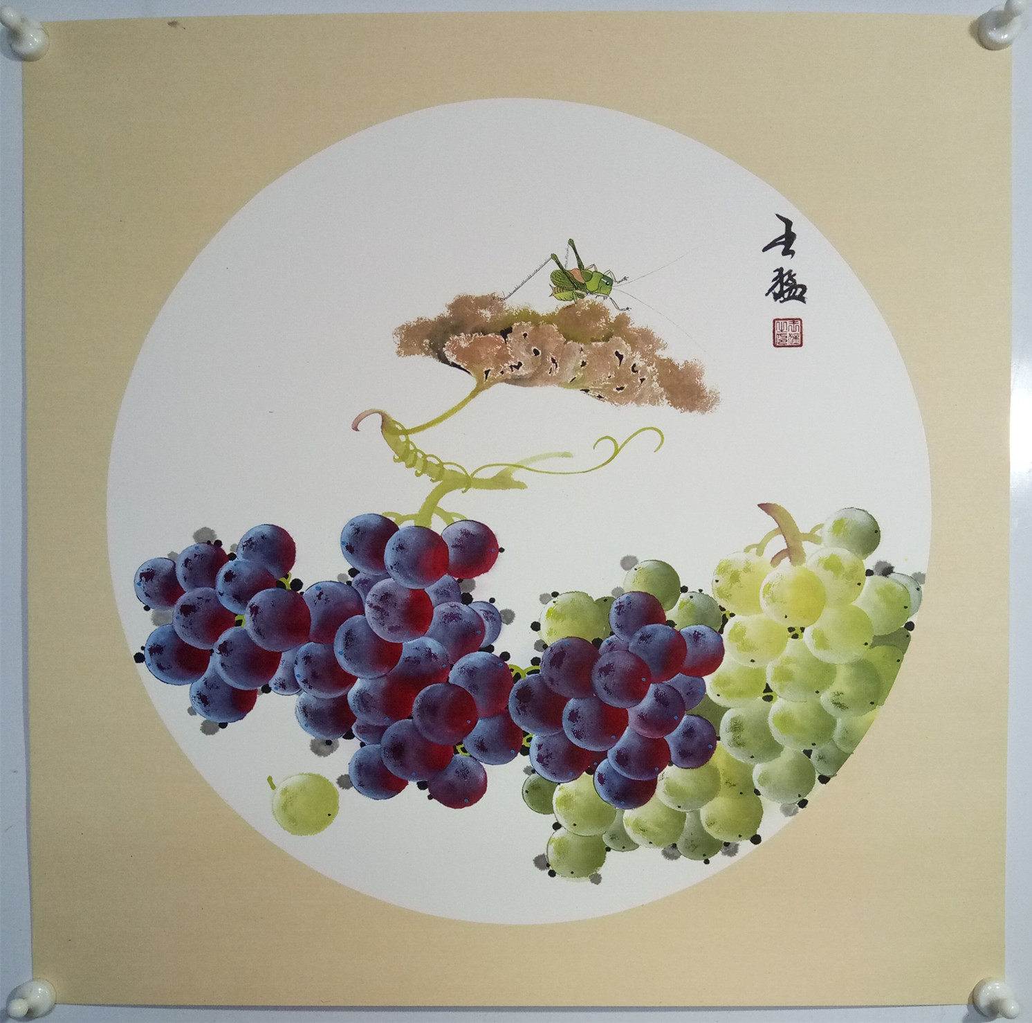 葡萄卡纸国画三尺斗方名家字画画王手绘果蔬国画