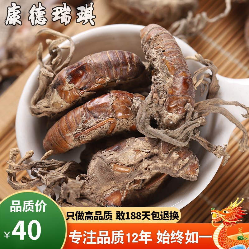 金蝉花50克 土蝉花 蝉草 蝉菌 金蚕花 蝉花虫草 深山野金蝉花|ruв категории традиционные питательный пища, другие традиционные тоник, 金蝉花 - от Buy2taobao.com для оказания профессиональной услуги покупки агента Taobao