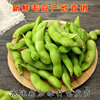 四斤現摘新鮮毛豆帶殼農家自種綠青小毛豆角應季新鮮蔬菜湖北特産 四斤現摘新鮮毛豆帶殼農家自種綠青小毛豆角應季新鮮蔬菜湖北特産