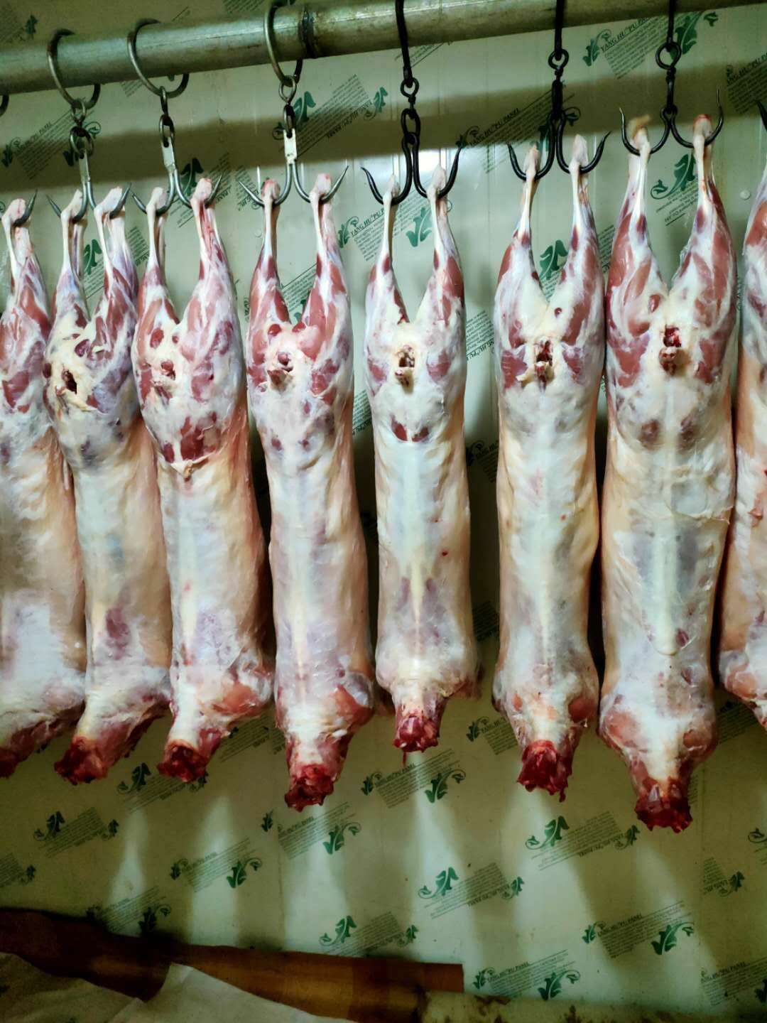 新疆雨牧甘草羊肉新鲜羊肉整只分割18斤驹俐羊顺丰包邮