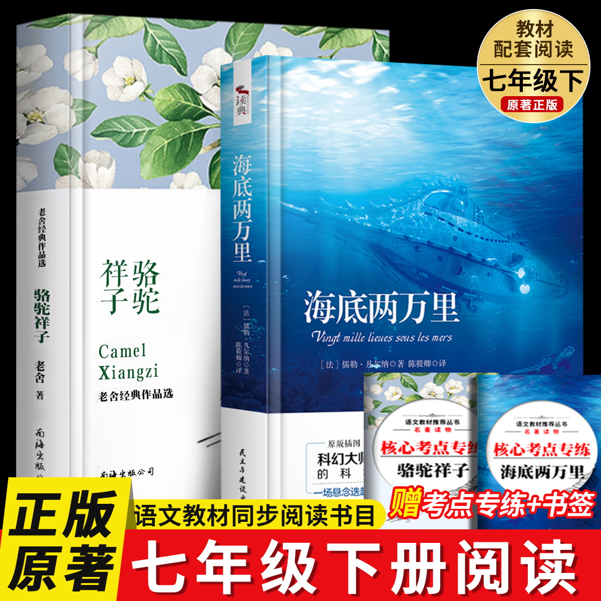 骆驼祥子和海底两万里正版书原著 七八九年级上下册必读名著课外书  原版全译本完整版小学生初中生阅读名著书籍朝花夕拾西游记