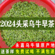 2024年乌牛早茶特级头采明前茶125g温州永嘉特产乌牛早龙井茶叶春