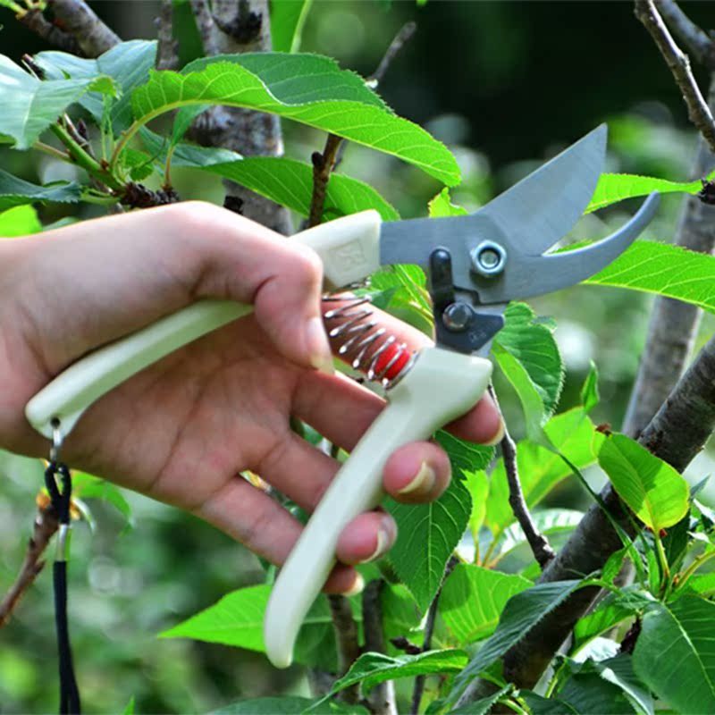 园助手进口省力园艺园林工具修枝剪果树花园丁剪花枝修剪树枝剪刀_不