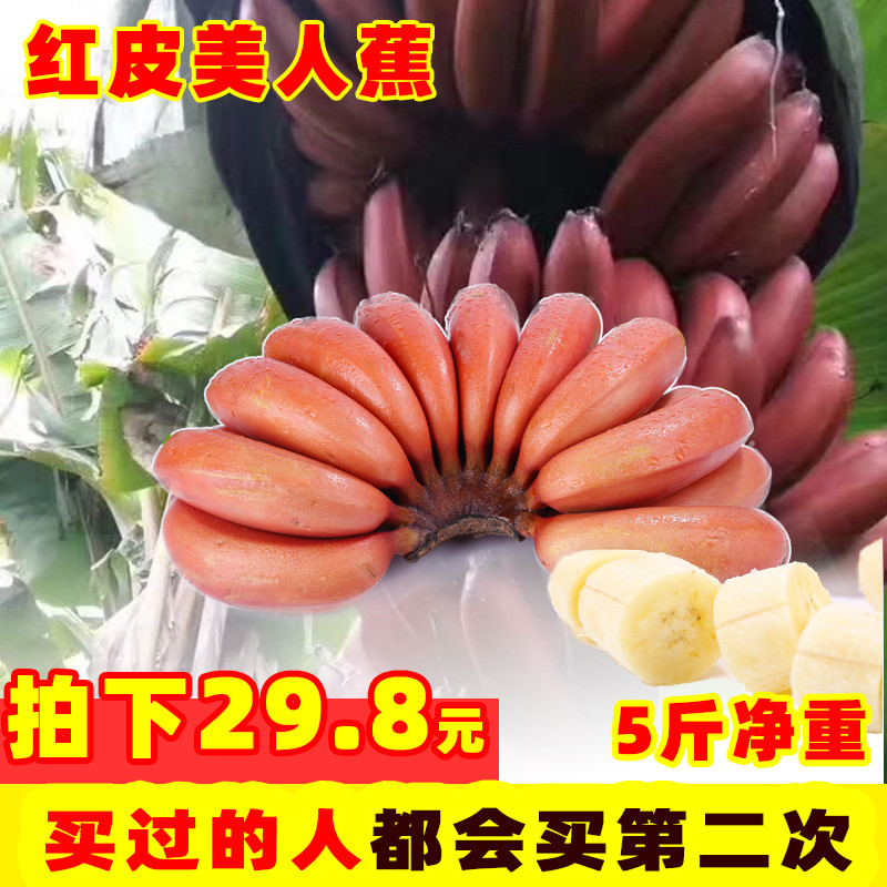 红美人香蕉新鲜水果皇帝苹果米蕉红皮香蕉5斤包邮福建漳州土楼10在类目 水产肉类/新鲜蔬果/熟食, 新鲜水果, 香蕉中 - 来自Buy2taobao.com提供专业的淘宝代购服务