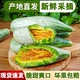 山东羊角蜜甜瓜脆瓜香瓜送礼当季新鲜水果博洋蜜瓜3斤5斤现货包邮