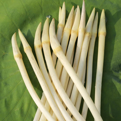 湖北特产藕带新鲜顺丰包邮2斤装 野生藕肠子藕尖农家自种时令蔬菜
