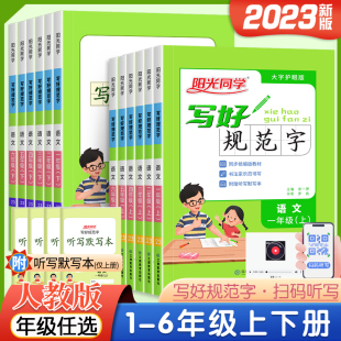 2023版阳光同学写好规范字一年级下册二年级三年级四年级五六年级上册小学生字认字识字同步练习铅笔钢笔字书法字帖临摹练字听写本