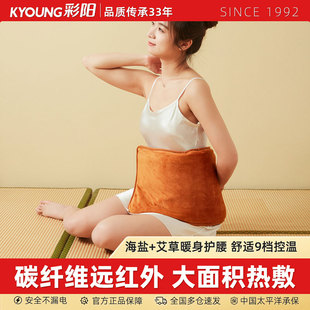 彩阳石墨碳纤维电热盐袋热敷毯粗盐艾草热敷包暖腰暖肩暖颈椎