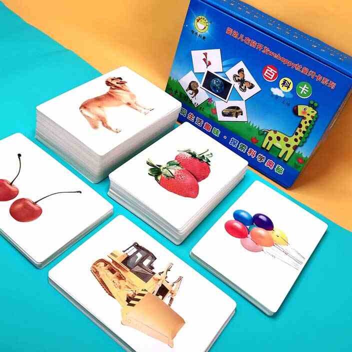 智乐杜曼闪卡百科卡 七田全脑右脑开发训练闪卡记忆全套识字课程