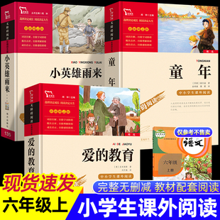 全套3册 童年书爱的教育小英雄雨来高尔基正版原著六年级上册必读的课外书快乐读书吧完整版名著小学生课外阅读书籍五年级人教版