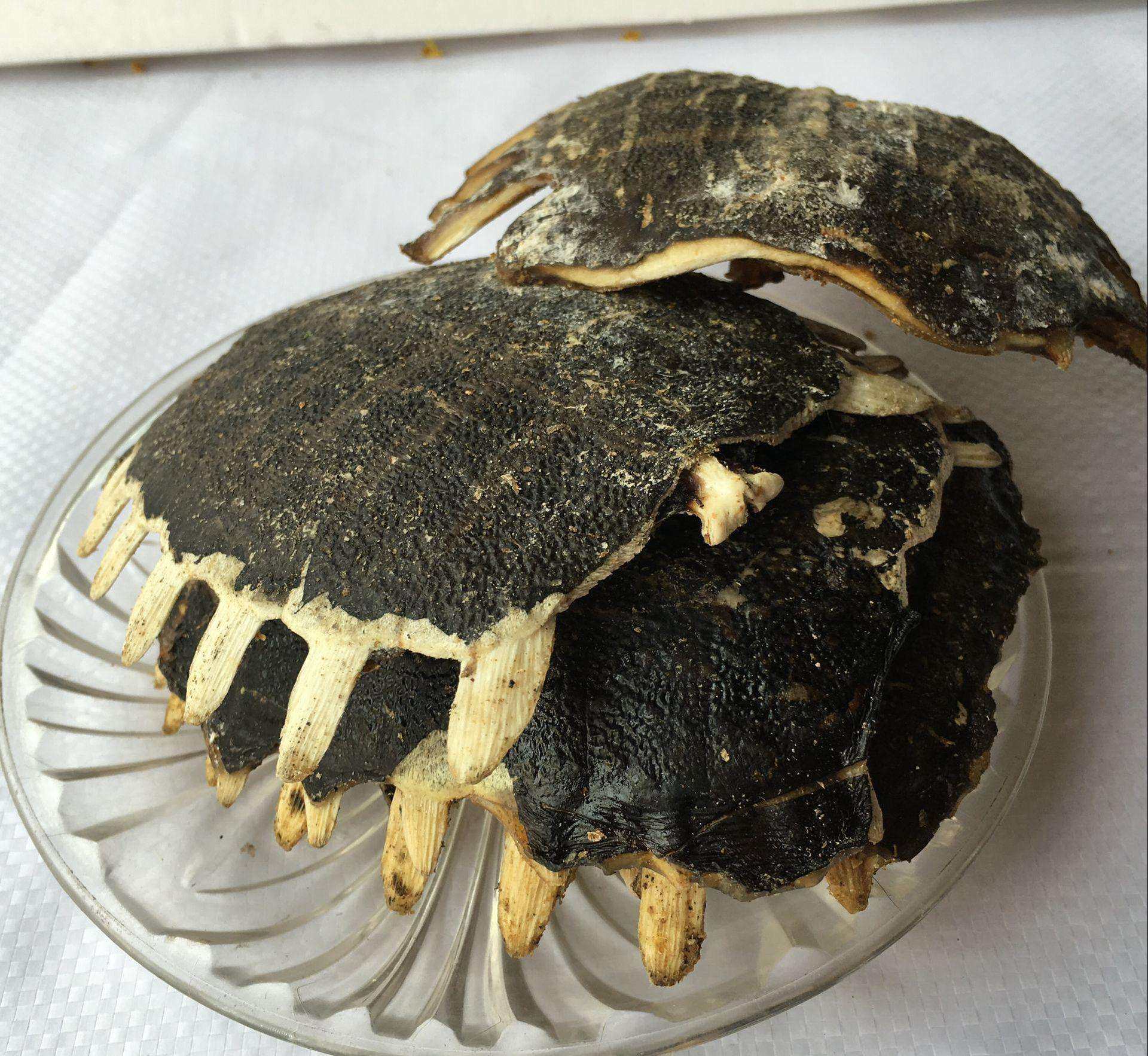 中药材鳖甲 生鳖甲 整个鳖甲 野生鳖甲 500克 两斤包邮