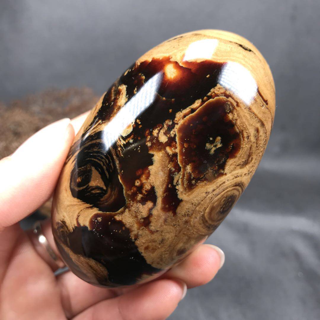 南澳名仕海柳的优惠券大全