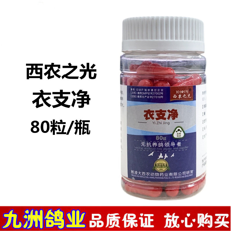 衣支净胶囊信鸽用品赛鸽单眼伤风眼睛流泪鸽子药大全——九洲鸽业批发
