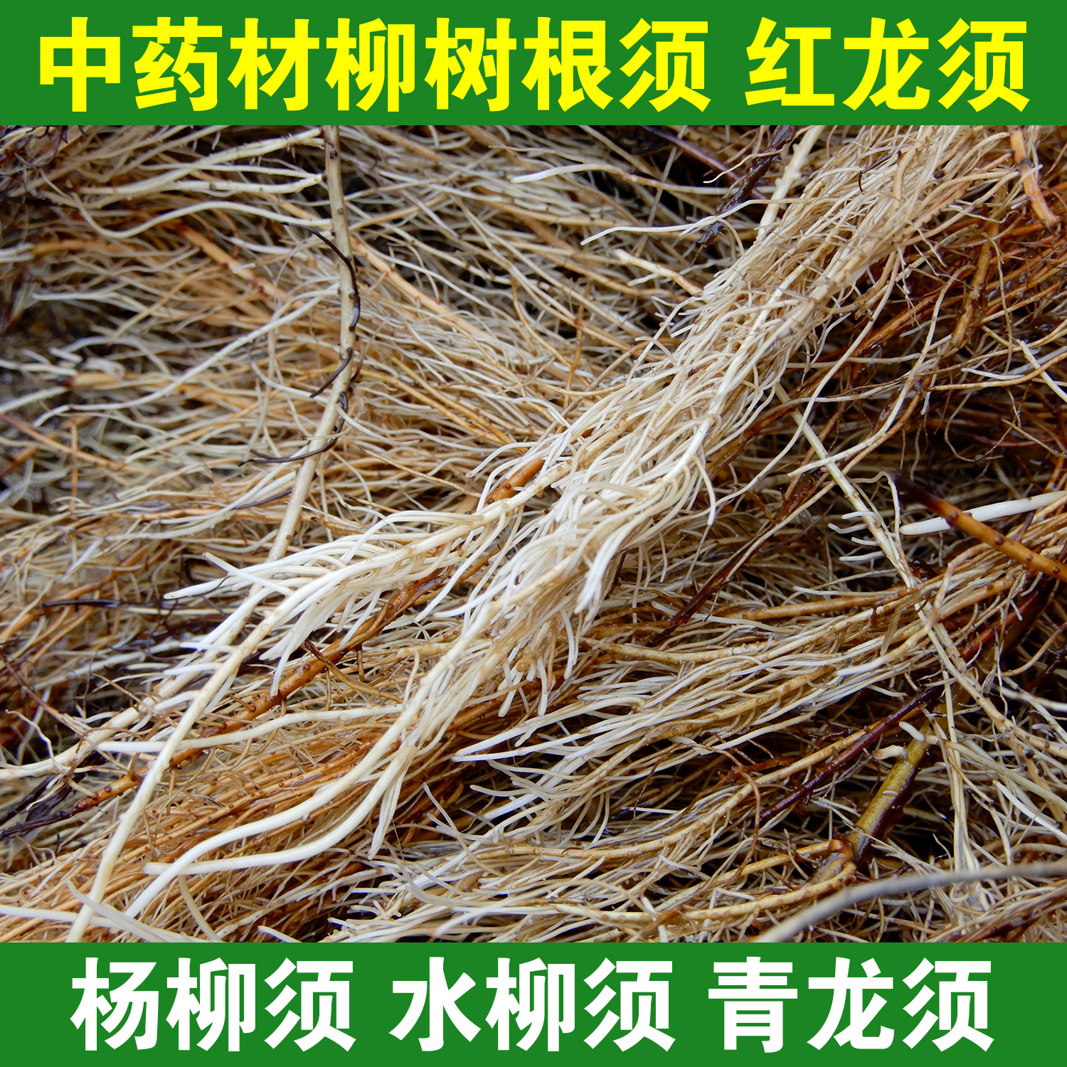 中药材柳树根 杨柳须 水柳须 红龙须 青龙须 正品