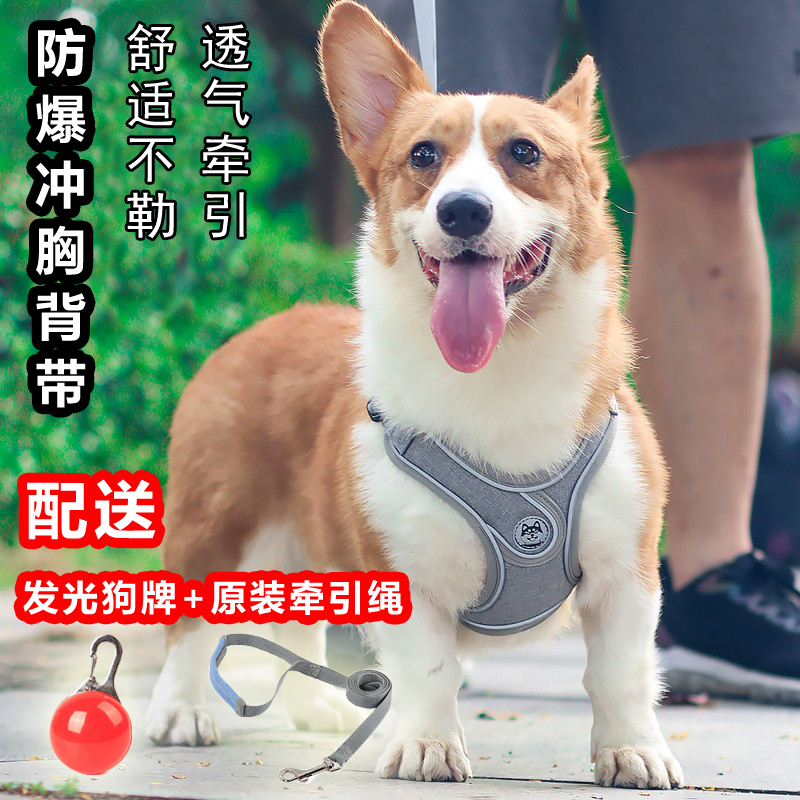 背心式狗狗牵引绳小型犬泰迪博美比熊反光胸背带小狗遛狗绳狗链子