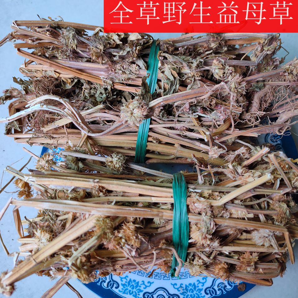 益母草中药新鲜干的500g克包邮正品可做泡脚包可搭益母草红糖姜茶