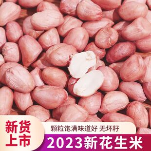 精选手工新花生米生花生米河南白沙花生米白沙果罗汉果花生米