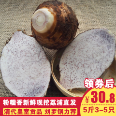 【天天特价】现挖新鲜荔浦芋头 农家槟榔芋 正宗广西荔浦香芋5斤