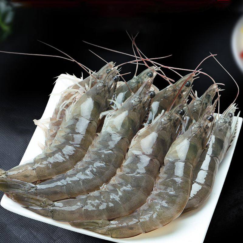 海水虾精品汇聚_价格大全 pc版 -最宠网