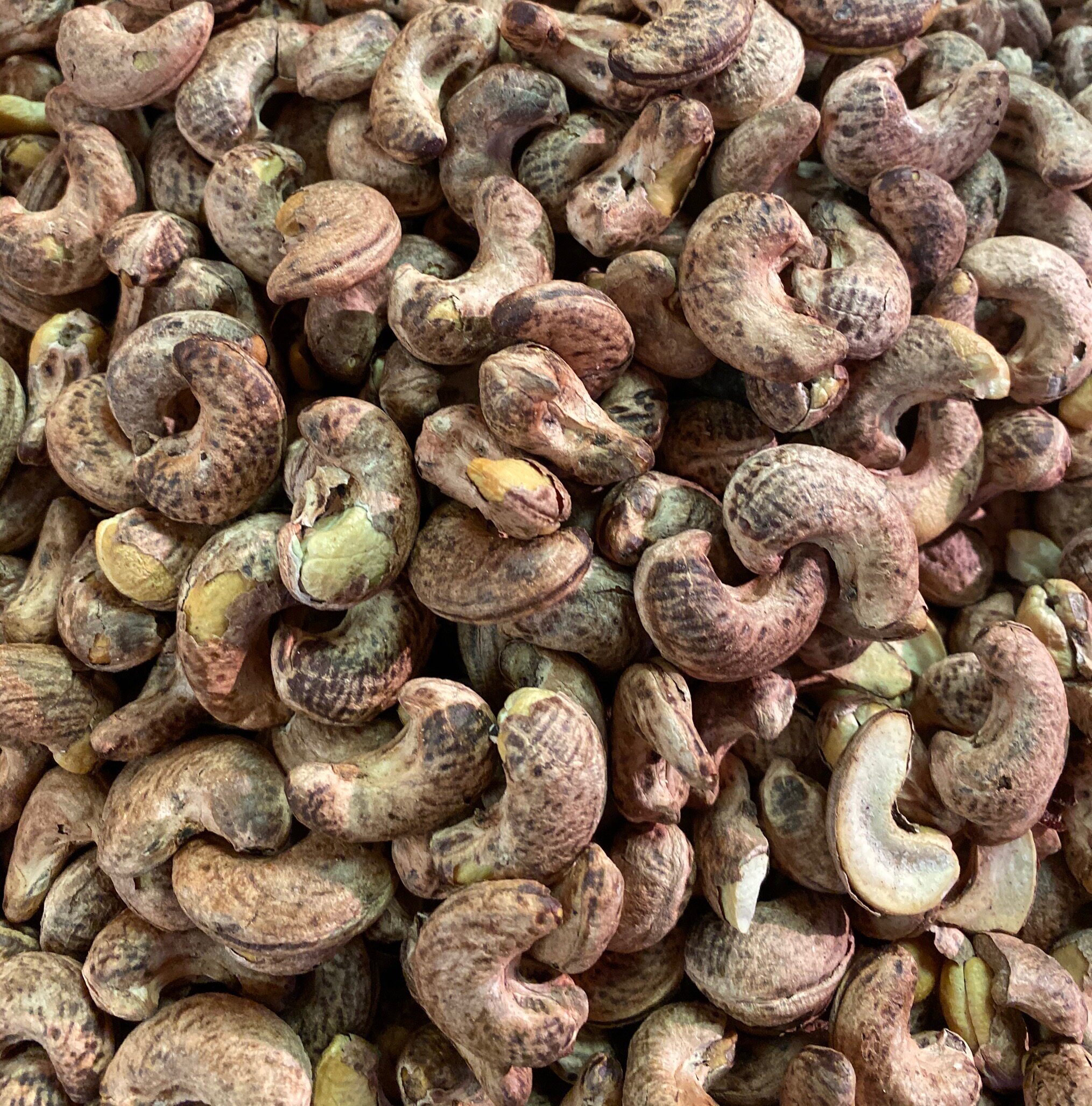 热销碳烤腰果 盐焗味