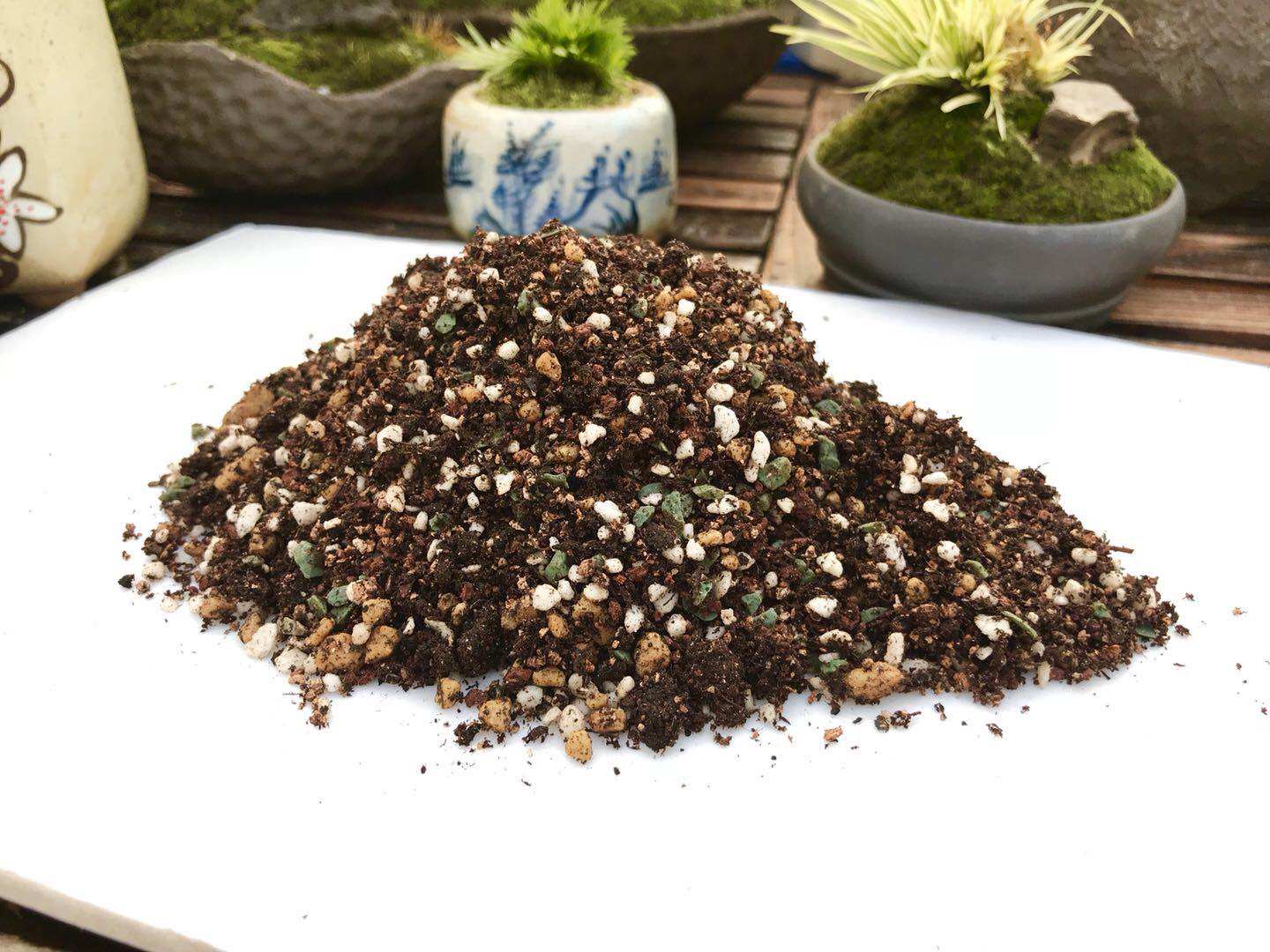 多肉植物专用颗粒营养土 包邮大额优惠券